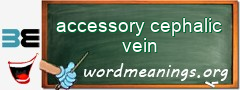 WordMeaning blackboard for accessory cephalic vein